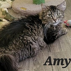 Photo of Amy