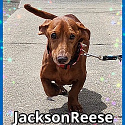 Thumbnail photo of JacksonReese #2