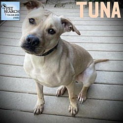 Thumbnail photo of TUNA #1