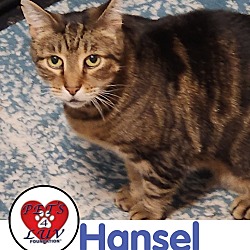 Photo of Hansel