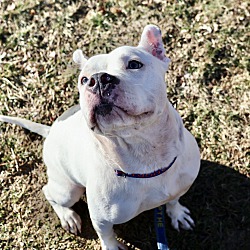 Thumbnail photo of Nala #4
