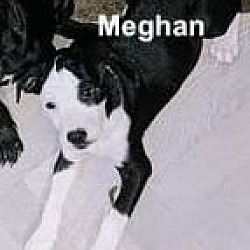 Photo of Meghan