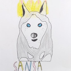 Thumbnail photo of Sansa #3