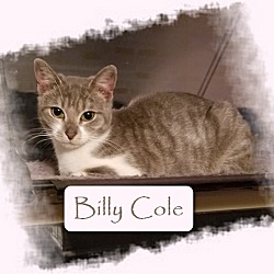 Thumbnail photo of Billy Cole #1