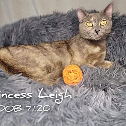 Photo of Princess Leigh