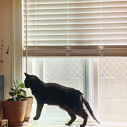 Photo of Camus