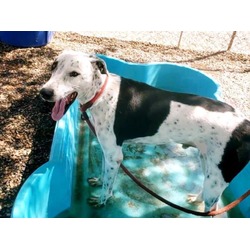 Photo of TOBY