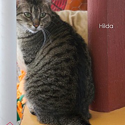 Thumbnail photo of Hilda #3