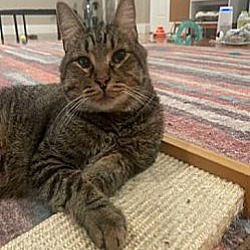 Photo of Teddy