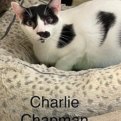 Photo of Charlie Chapman - Center