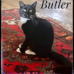Photo of Butler