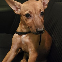 Photo of Mia