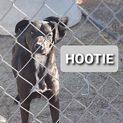 Photo of Hootie
