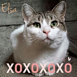 Thumbnail photo of *Elsa* #1