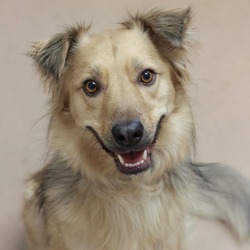 Photo of TAFFY