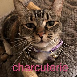 Photo of Mama Charcuterie