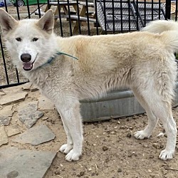 Photo of Zeus 2