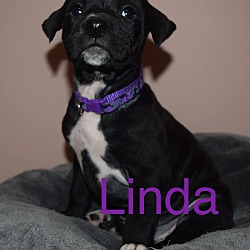 Thumbnail photo of Linda #2