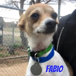 Thumbnail photo of Fabio #1