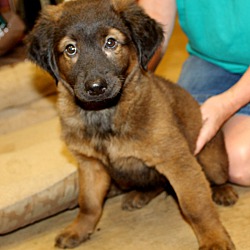 Thumbnail photo of Naboo~adopted! #4