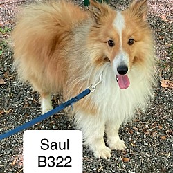 Photo of Saul B322