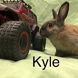 Thumbnail photo of Kyle #4