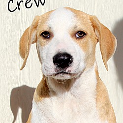Thumbnail photo of Crew ~ meet me! #1