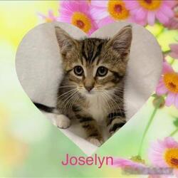 Photo of Joselyn
