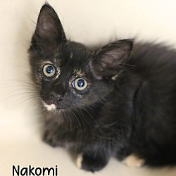 Photo of Nakomi