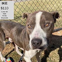 Photo of Ike