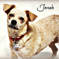 Photo of Jonah