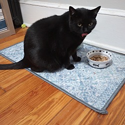 Photo of Lucy