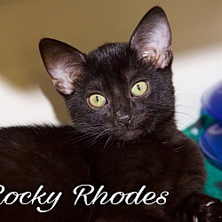 Thumbnail photo of Rocky Rhodes #1