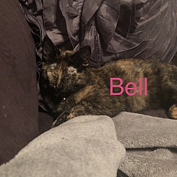 Photo of Bell