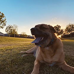 Photo of Charlie
