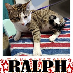 Photo of Ralph