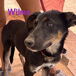 Photo of Wilma