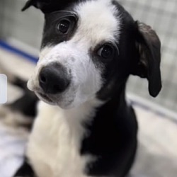 Photo of Maverick