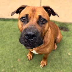 Photo of Roscoe