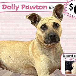 Photo of Dolly Pawton