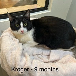 Photo of Kroger