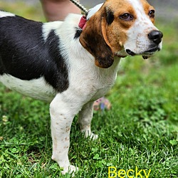 Photo of Becky