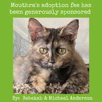 adopt a pet