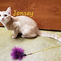 Thumbnail photo of JONSEY #2