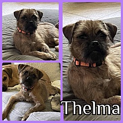Photo of Thelma