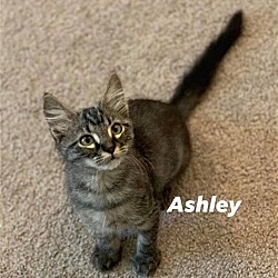 Thumbnail photo of Ashley #3