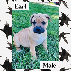 Photo of Earl