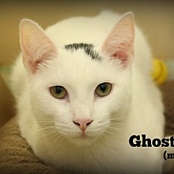 Thumbnail photo of Ghost #1