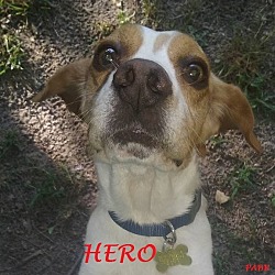 Thumbnail photo of HERO #1