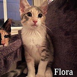 Photo of Flora